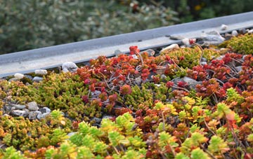 the cost of Hutton Mount green roof installation